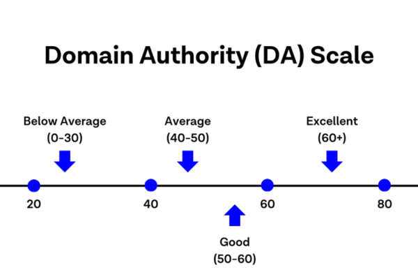 Domain Authority Score